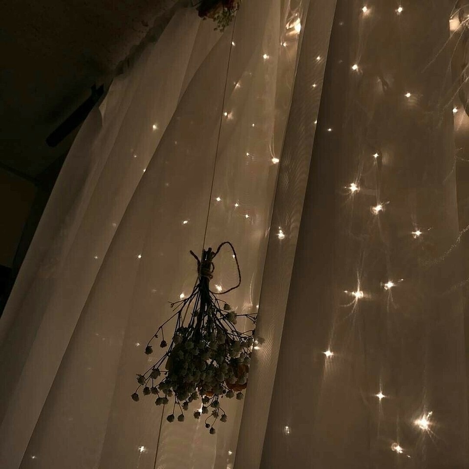 アーティスト画像